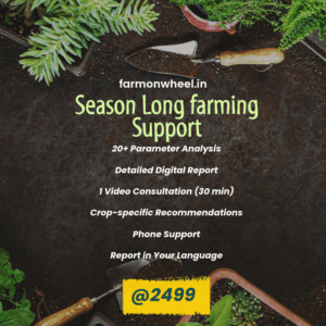 Complete Analysis + Consultation