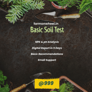Basic Soil Test