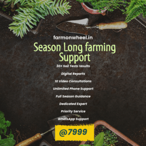 Season Support Package