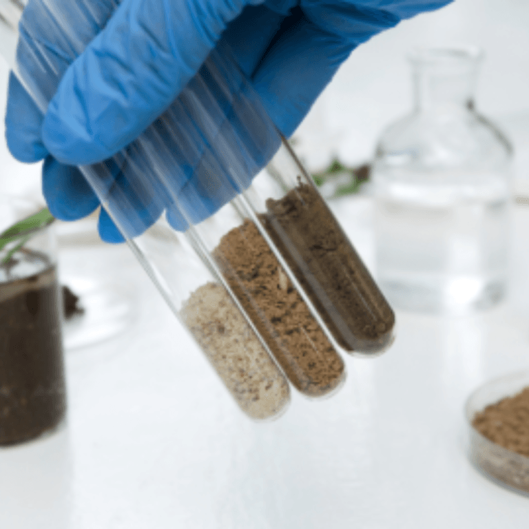 Why Soil Testing is Important Before Planting Any Crop