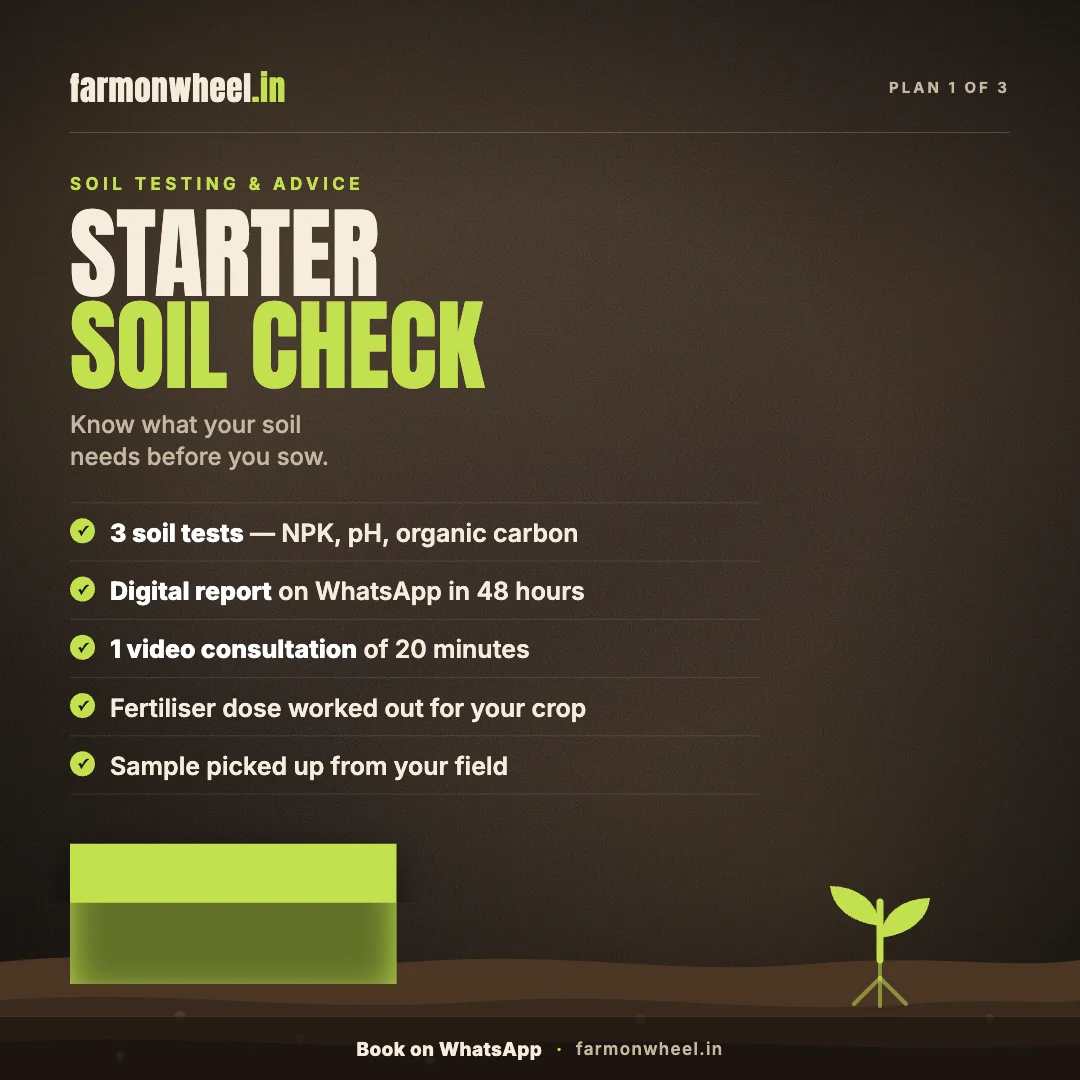 Basic Soil Test