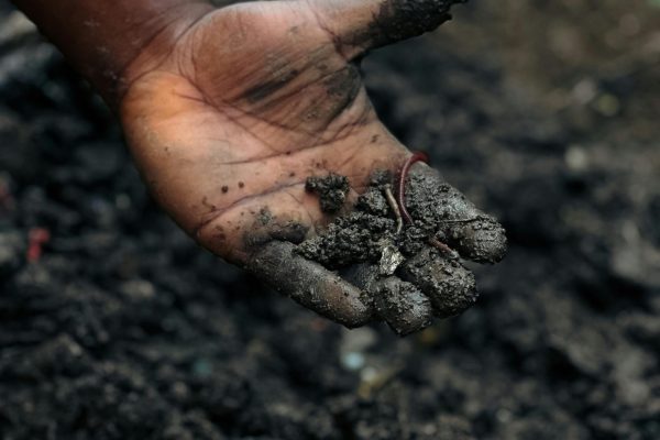 A hand holding soil with an earthworm, symbolizing connection to nature and agriculture.