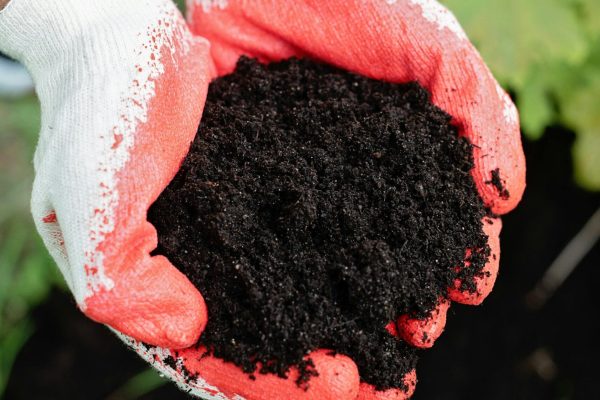 Close-up of hands in gloves holding nutrient-rich soil, perfect for gardening and planting.
